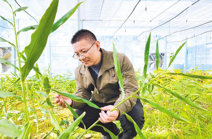 我们正在寻找来自小镇的企业家。