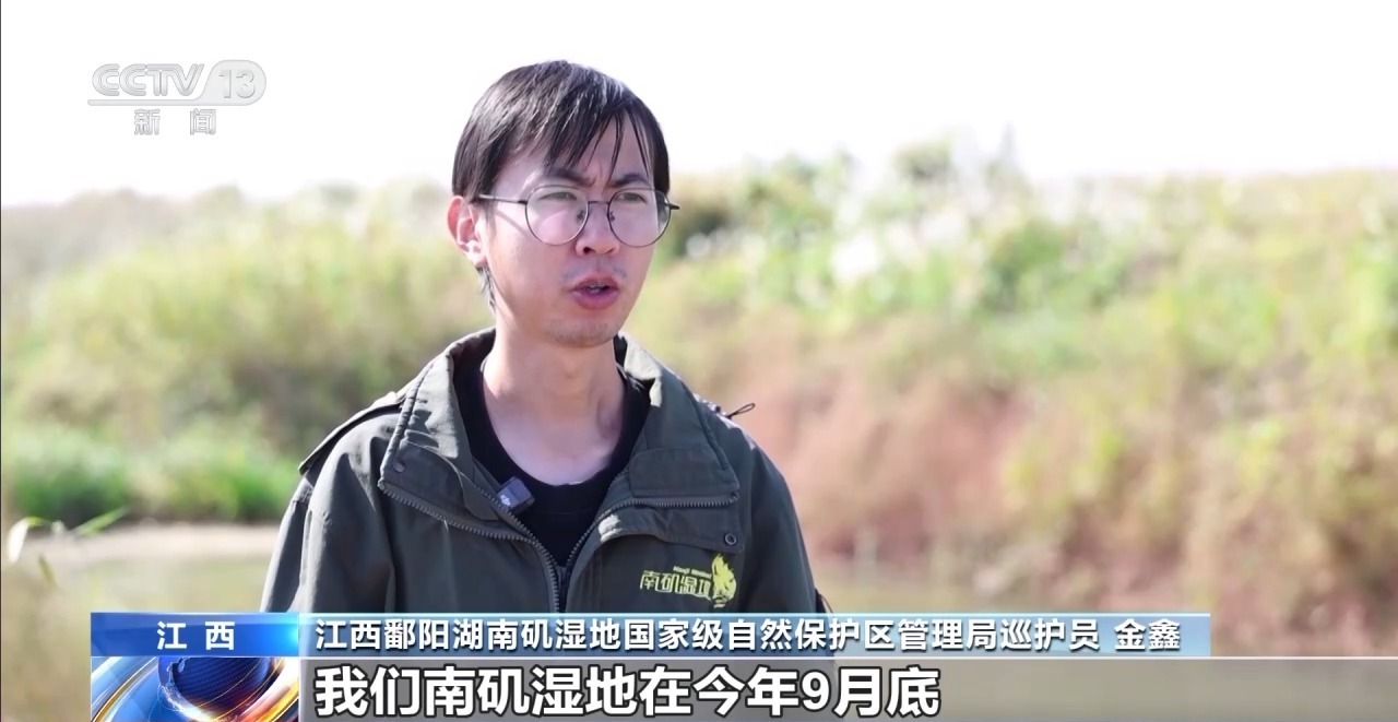 视频丨七里海鄱阳湖候鸟迁徙过程中，他们这样保护湿地