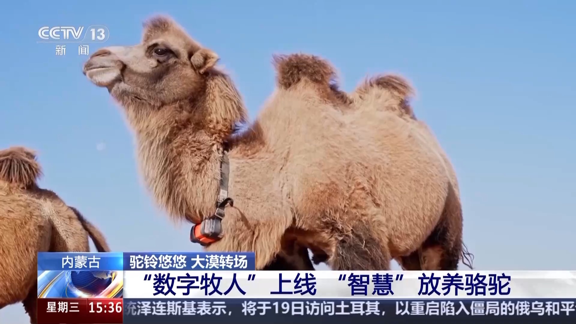 视频丨科技助力“智慧”