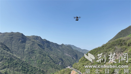 无人机穿越重山竹林，打通山地物流“最后一公
