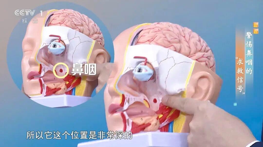 视频丨如果早上起床后第