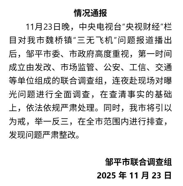 山东省邹平市：成立调查