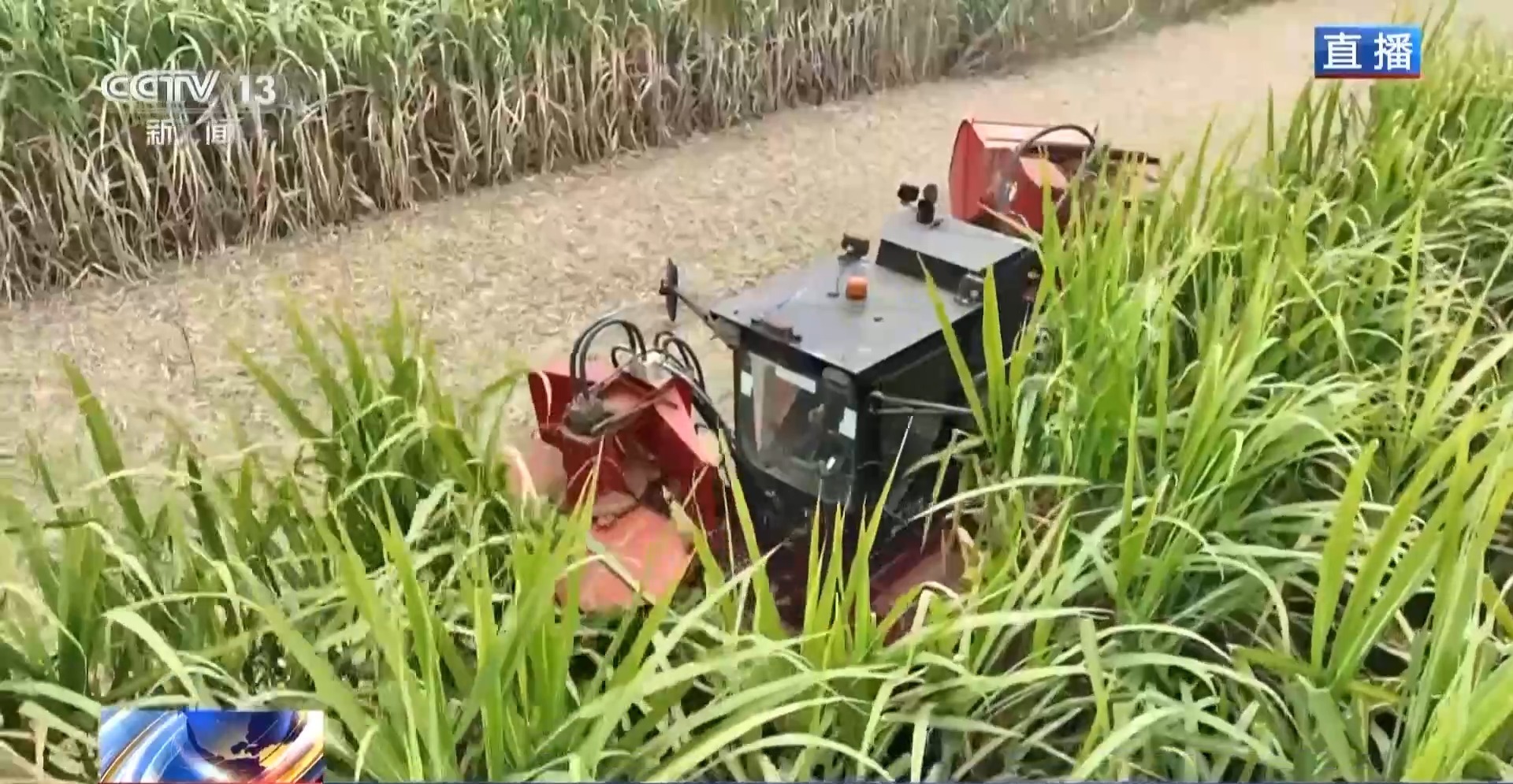 视频丨从“糖表达”到“超级电容器”揭秘广西