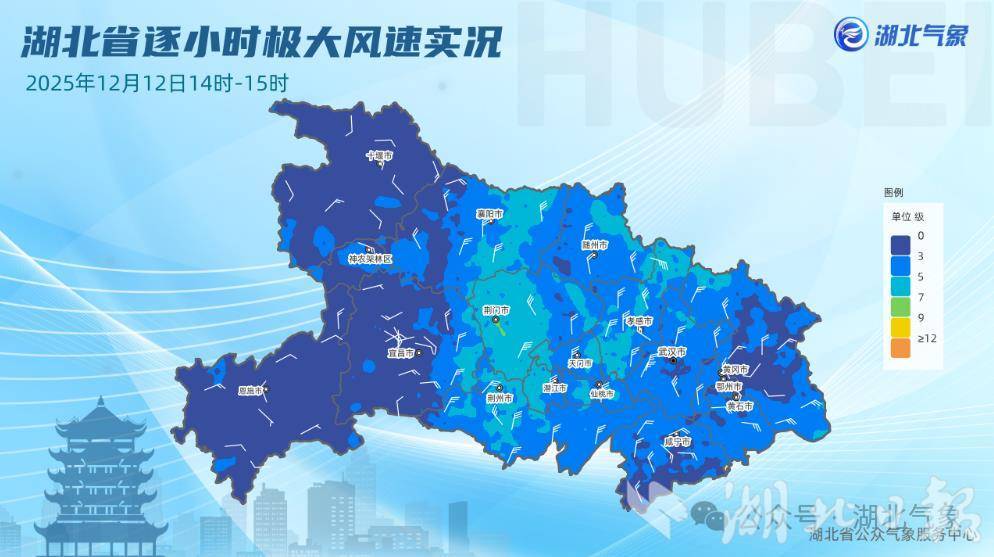 急に15℃まで下がる寒波即