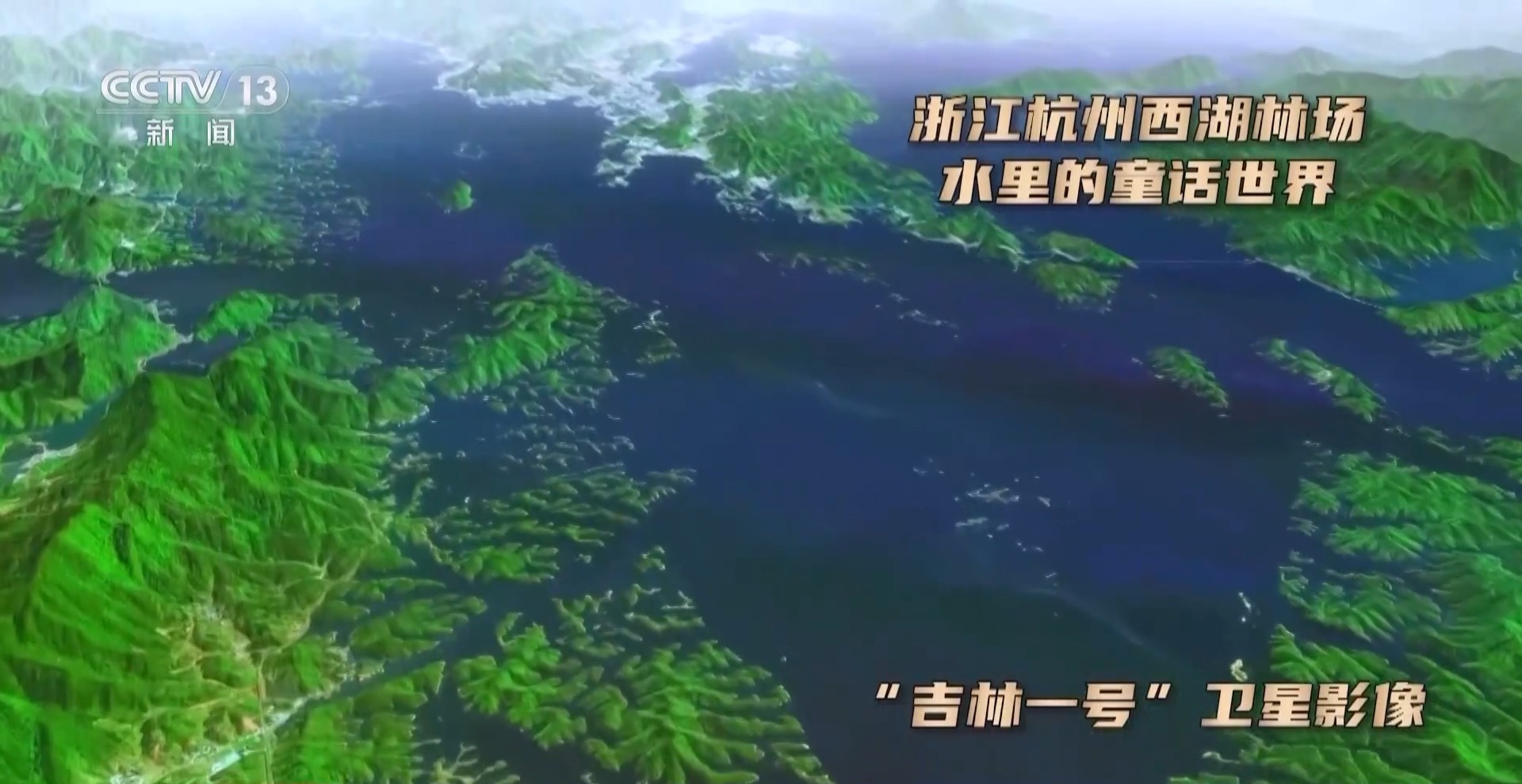 视频丨卫星视角“瞰”国有林场 发现这份绿色新“账本”