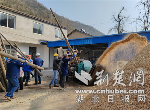 景山镇龙泉山村：群众种蘑菇，书记来帮忙