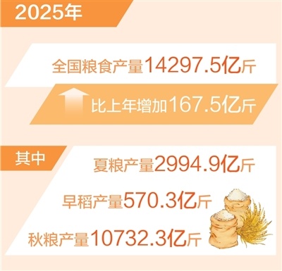 迎接又一个丰收！全年粮食产量实现高增长