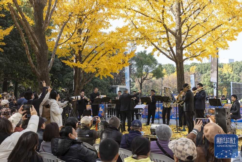 上海：银杏树下的音乐会
