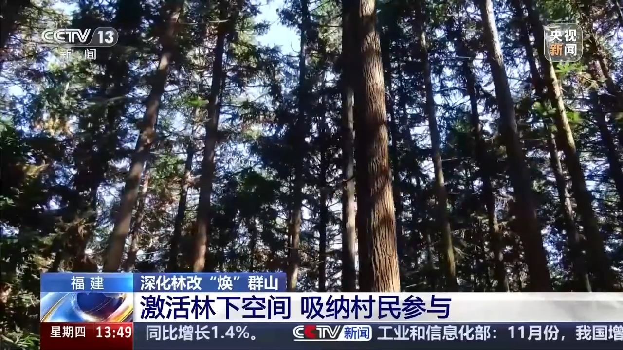 视频丨拓展创收渠道，带来生态红利。这个县正在赋予林场新的生命