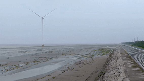 ̽����ͨ��Ʒ������������óԵ���ʳ��