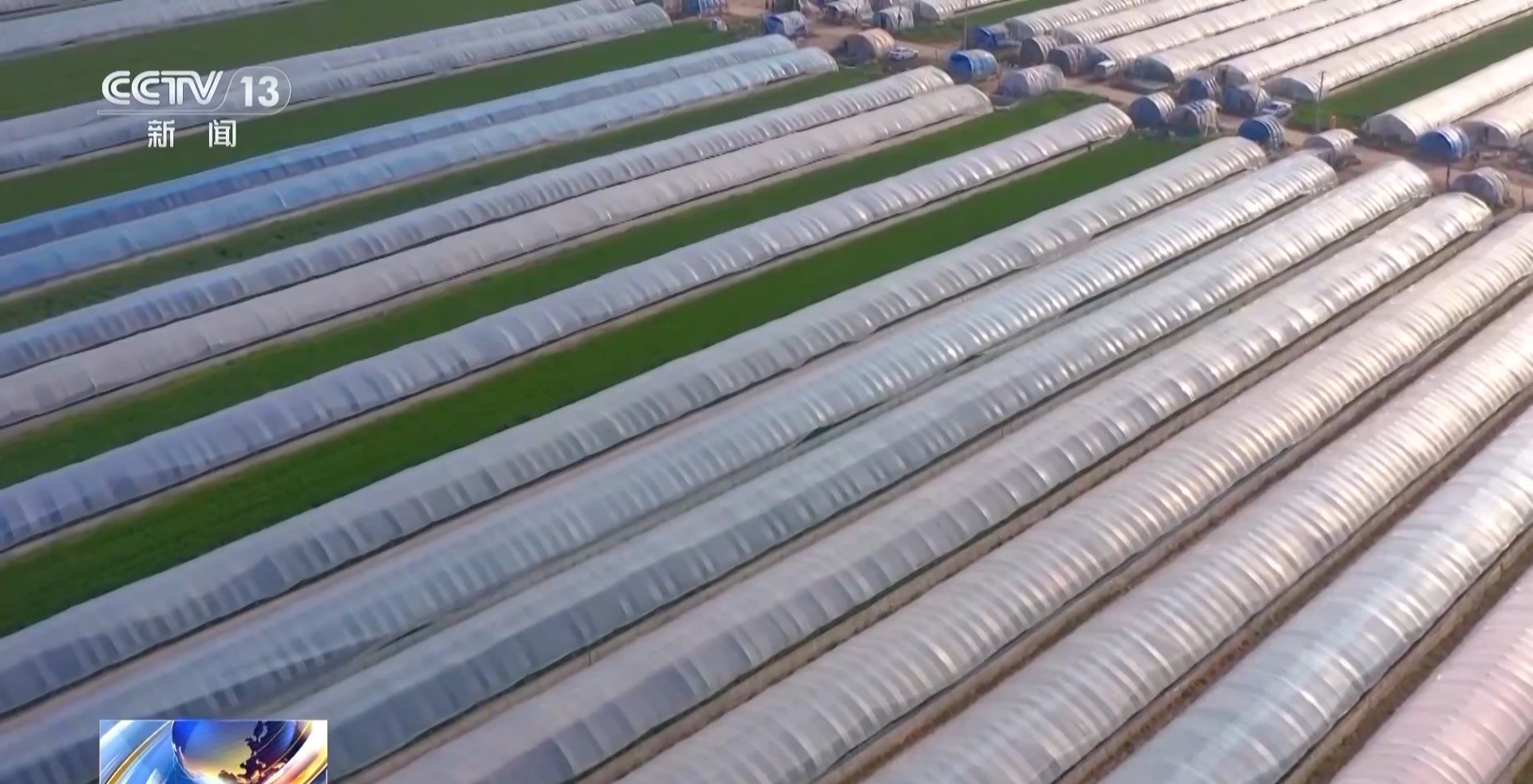 视频丨从田间到餐桌，解锁“新鲜”密码