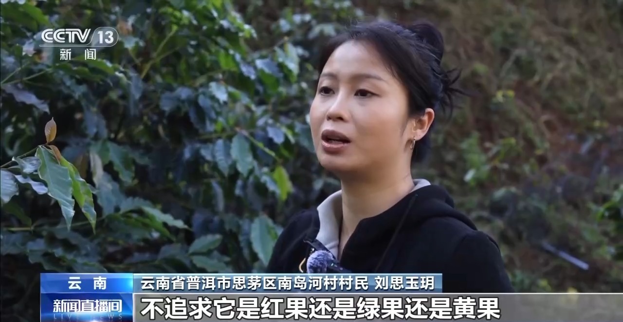 视频丨好豆煮好咖啡，“混搭”经营，云南“咖啡+”成消费新趋势