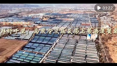 审视“冷”经济的发展 |行万里路！高原凉菜已登