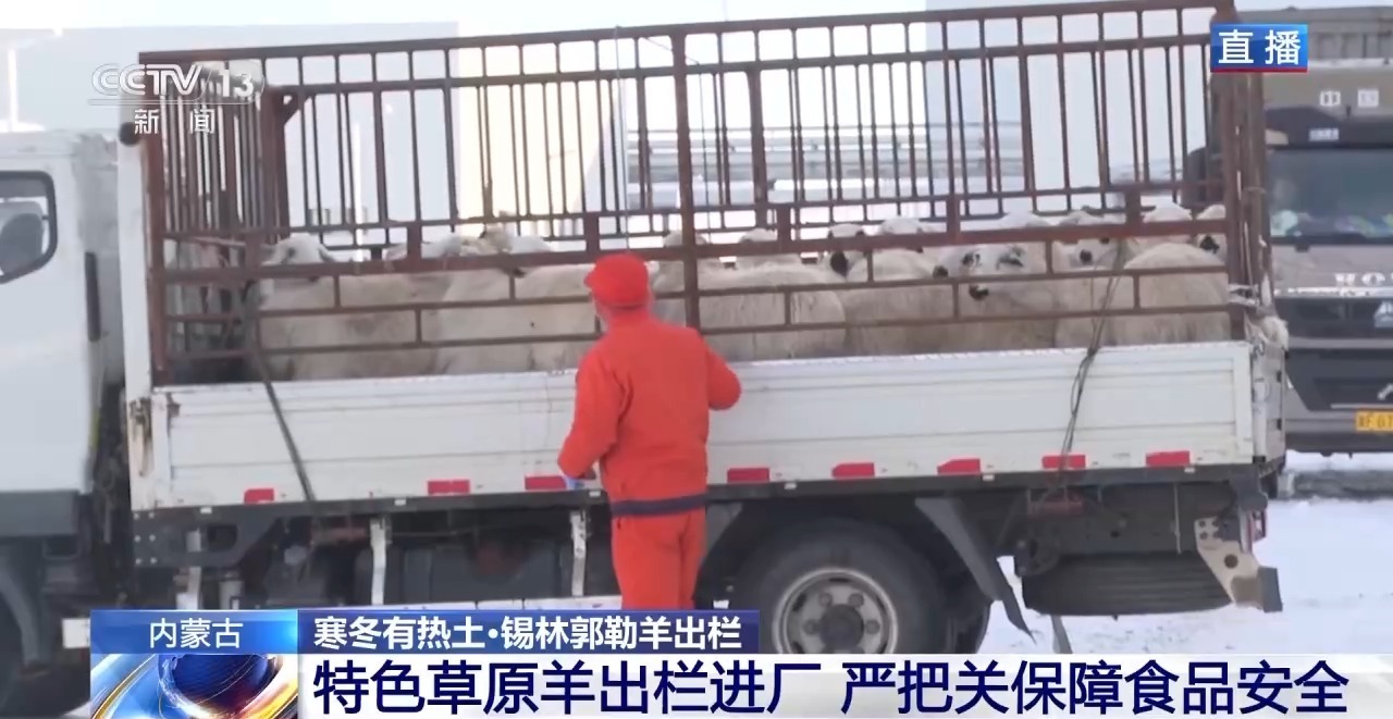 视频丨一只羊可以拥有170多种产品！看草原美食