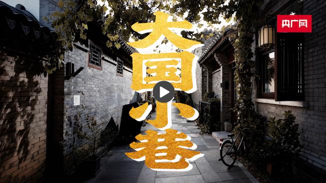 大国胡同：第一个好政府