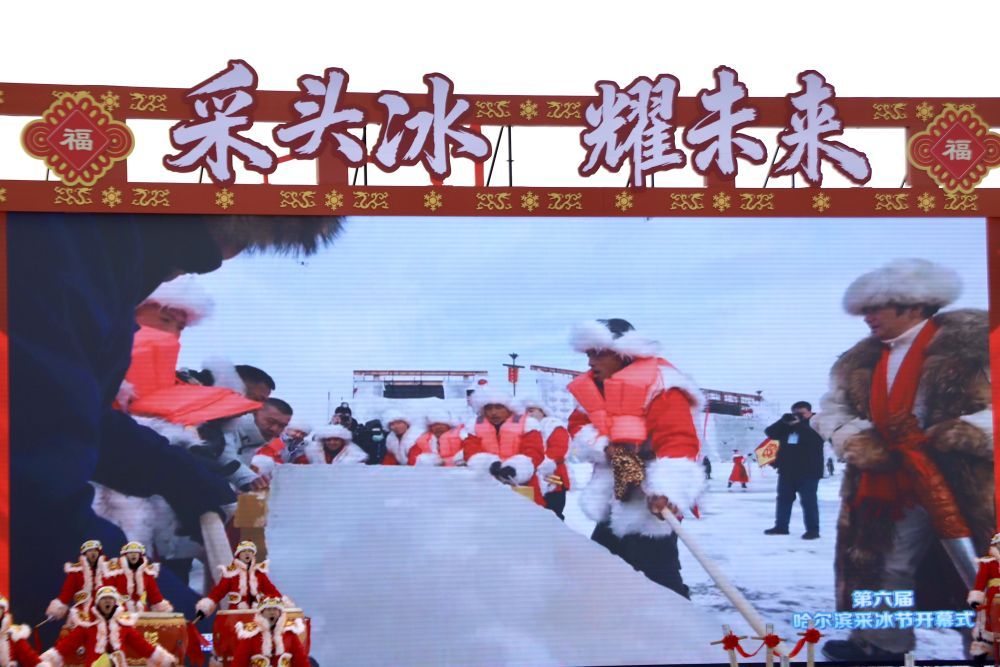 特写：“尔滨”的火热，从采冰开始