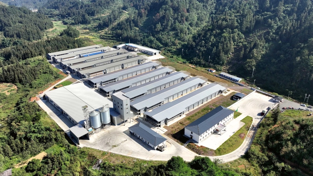 抓住会下蛋的“鸡”