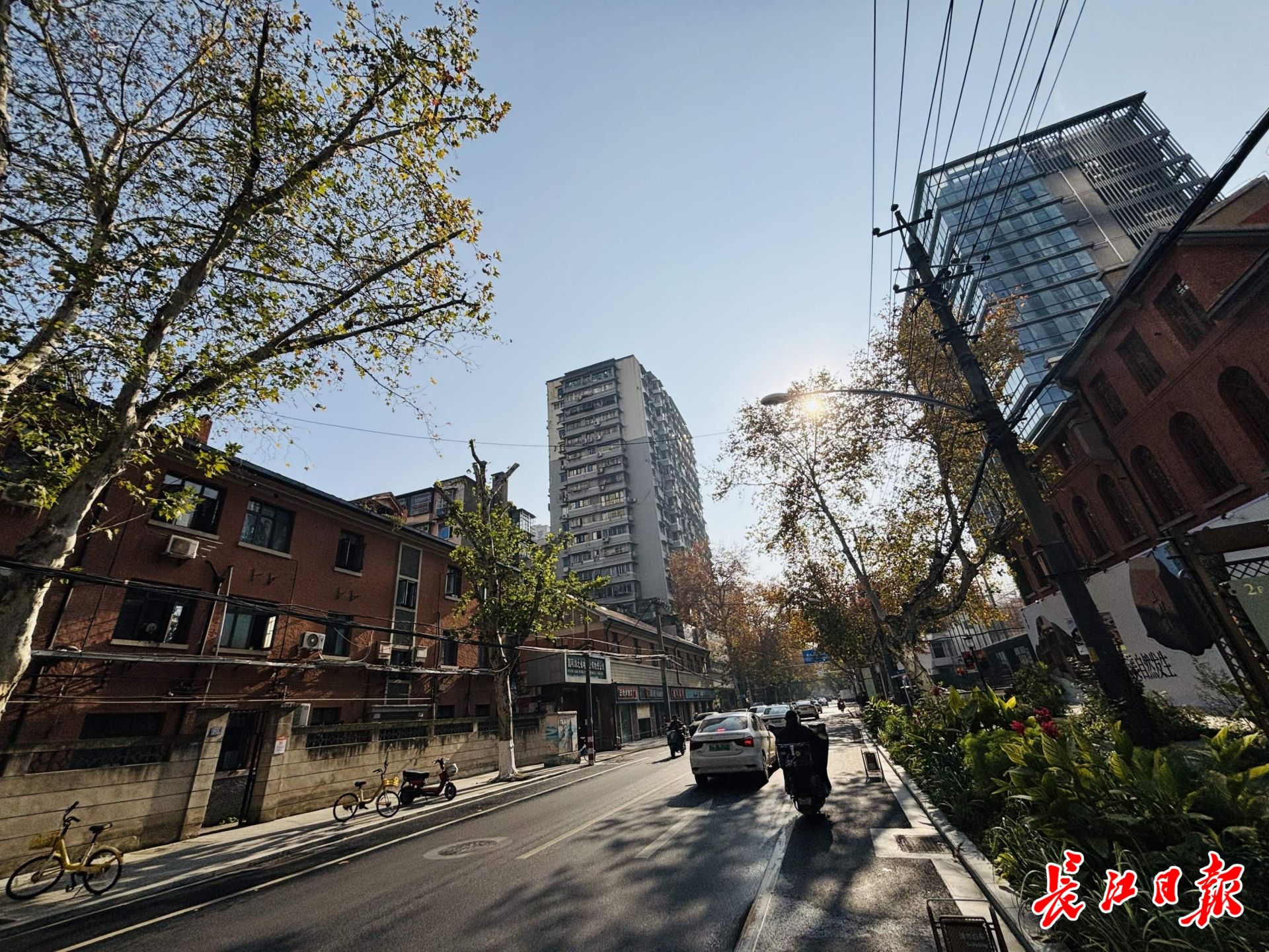 100年历史的城市景观变成了“自然照片画廊”