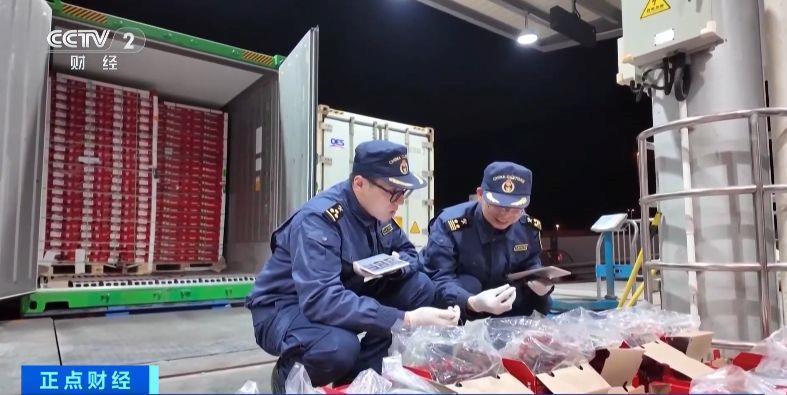 视频丨今年“智利车厘子季”正式拉开帷幕，首