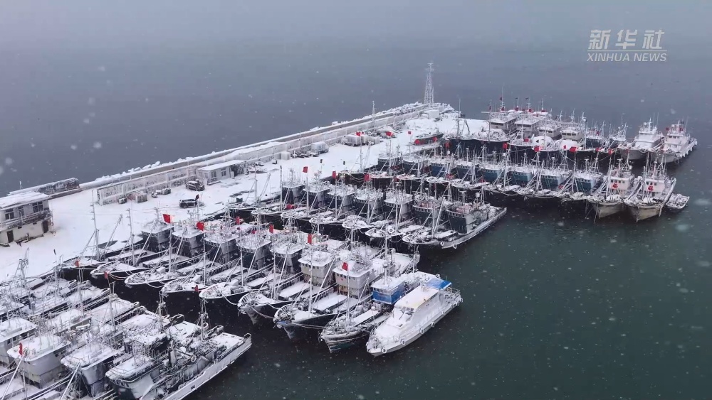 雪花落下，银色的衣裙映衬着碧波，万只