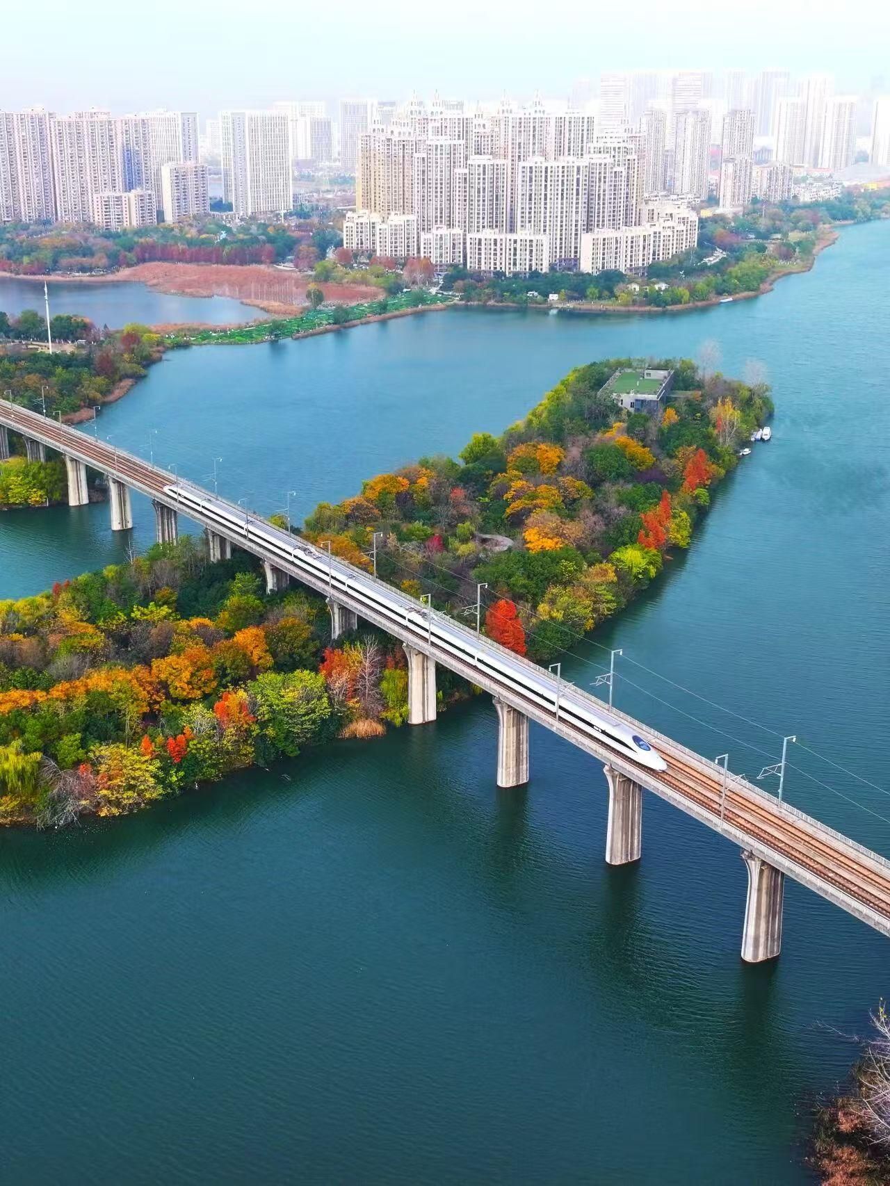 世界再次回到武汉