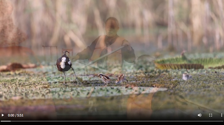 新时代，我在中国｜保加利亚留学生在泰安见证国泰民安