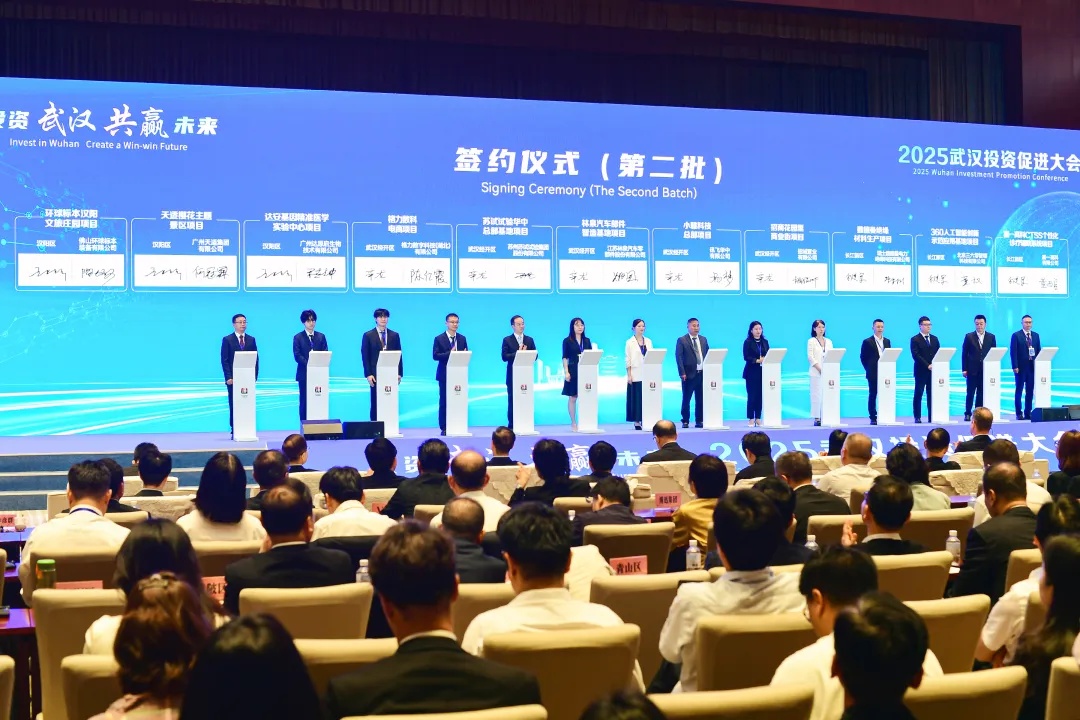 “经济”色彩2025丨“走出去