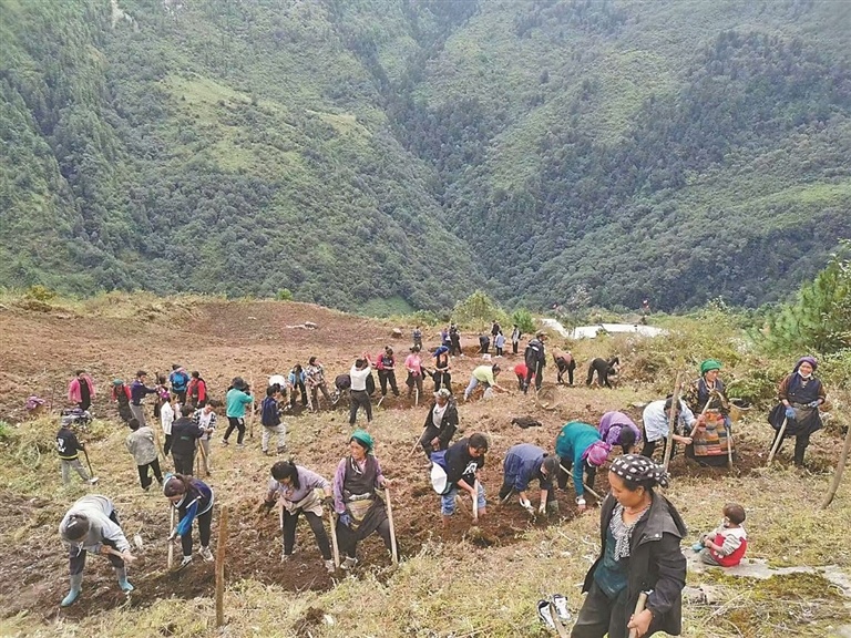 ���ǽ��ι�����������ɽ���������һƪ��һƪ��ԭ��̬������������