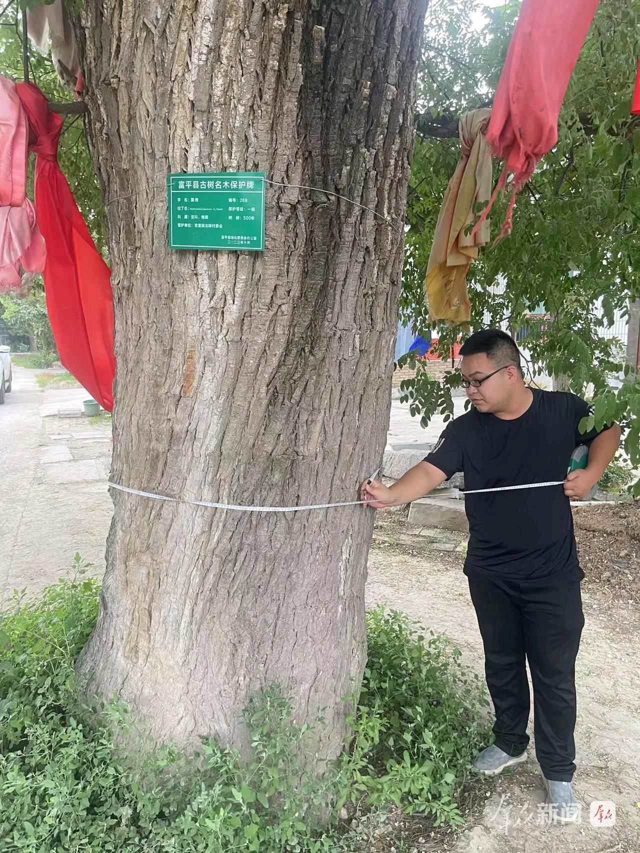 富平：守护千年绿意 留存乡愁记忆