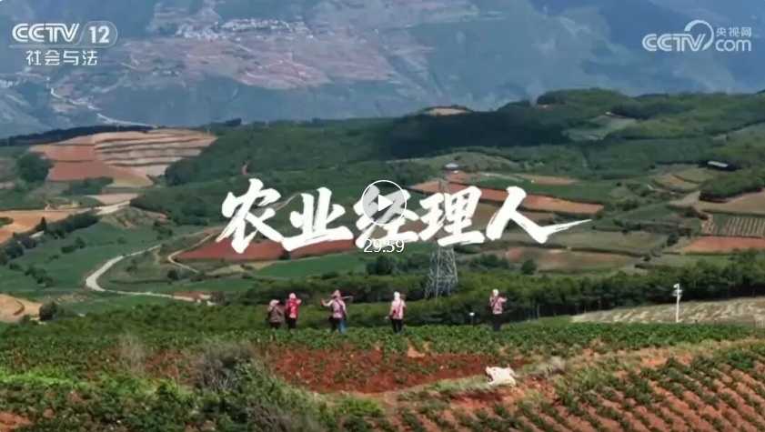 《新职业炫季》|农业经理人:跨界高手扎根田野,乡村振兴里的职业新机遇
