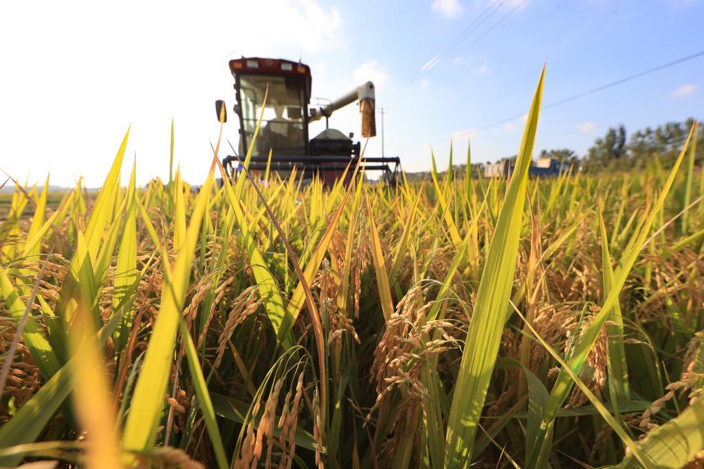 【全天热点话题】12月27日热