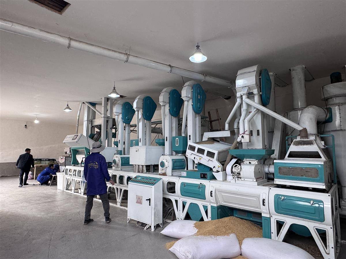 药材加工+品牌大米+循环种养殖，小山村也能建“产业园”