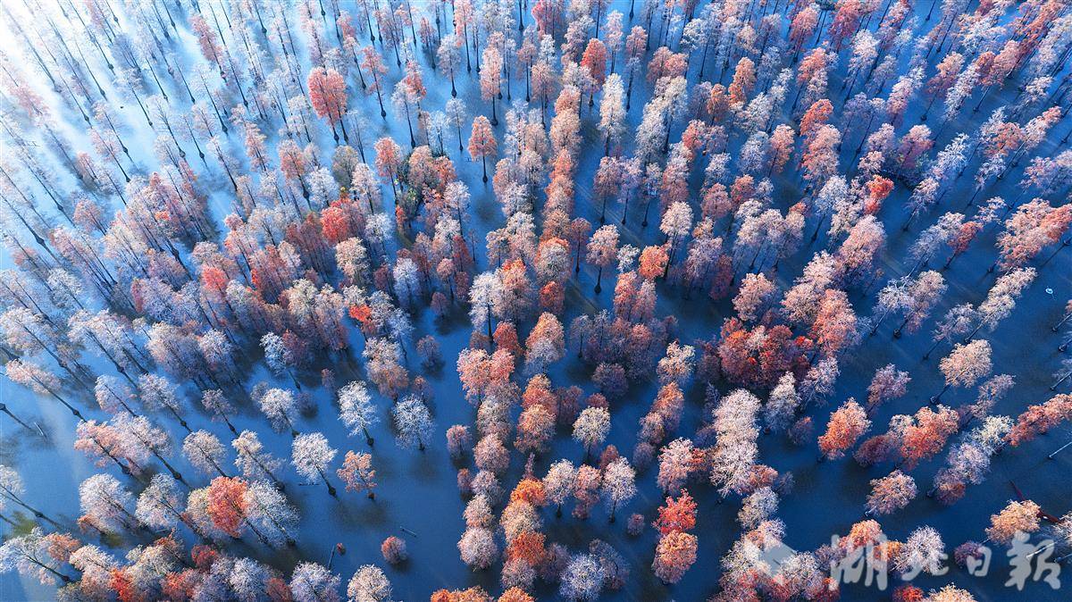 张都湖风景秀丽，犹如仙境。这个冬天我一定要