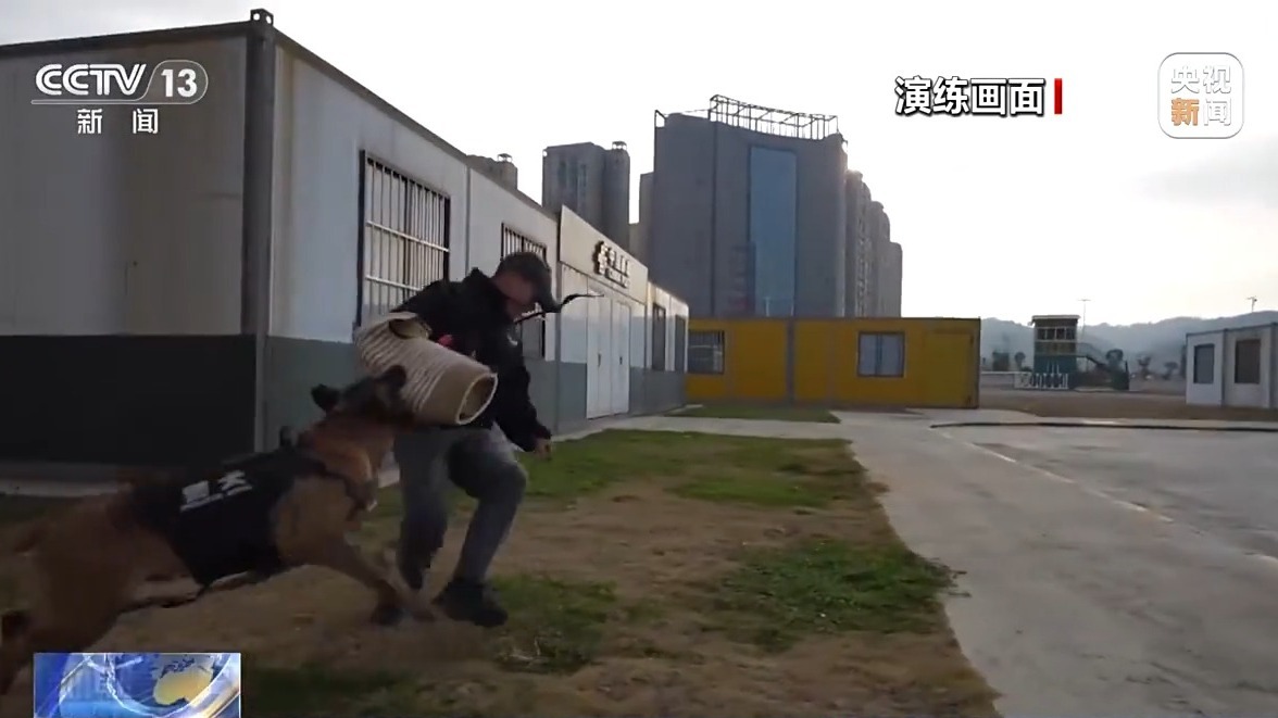 视频丨人机犬协同、1:1实景还原！直击反劫持实兵对抗演练现场