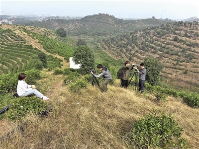 形象是笔，城魂是墨。五