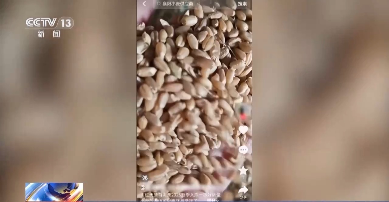 法治在线丨新型“购粮洗钱”曝光。如果您收到此类款项，应立即报警。