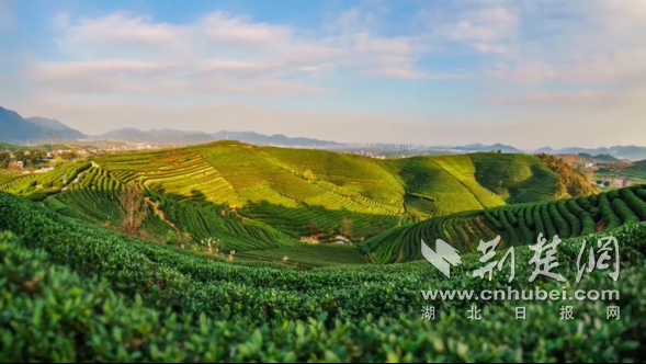 ������һƬ�����ݲ衱�����ഺ