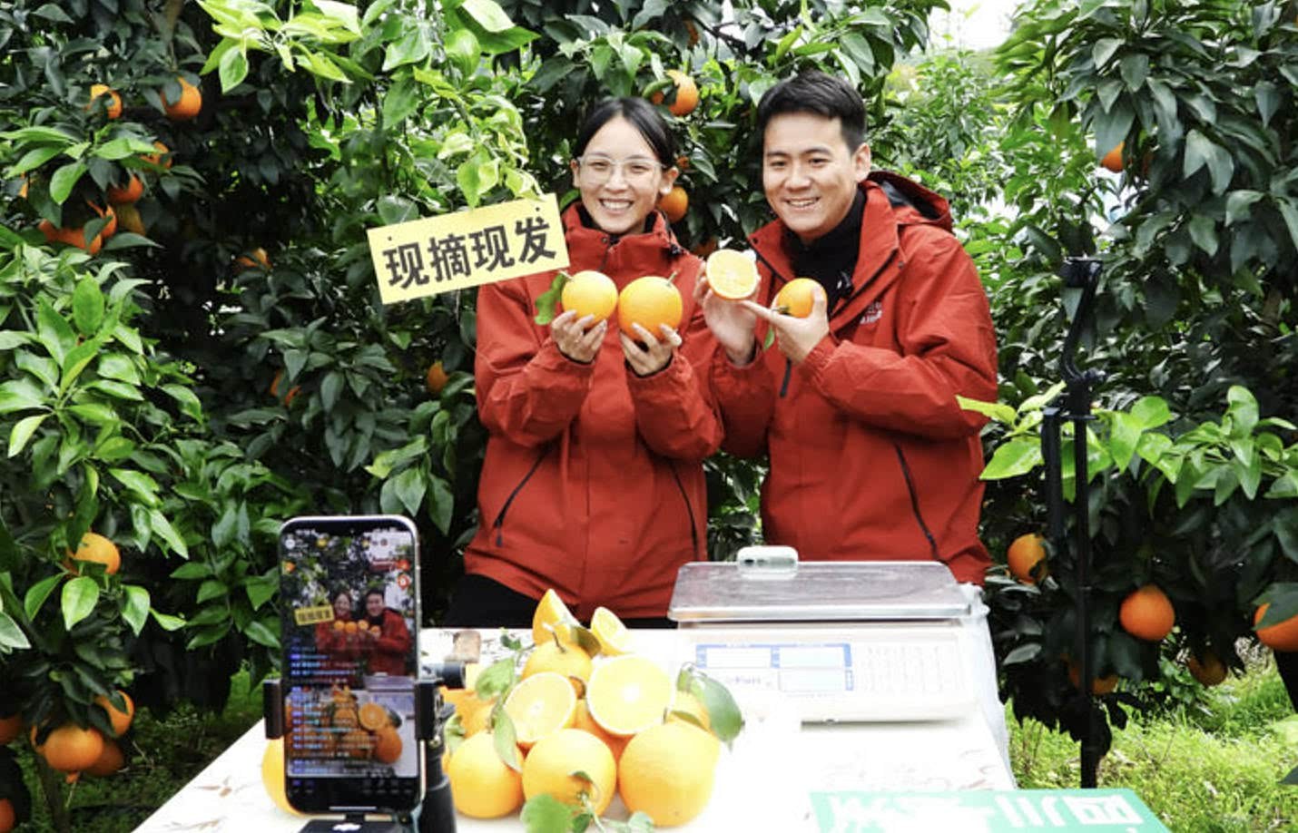 Ϊ�й�����|���绥��������������������ɹ���