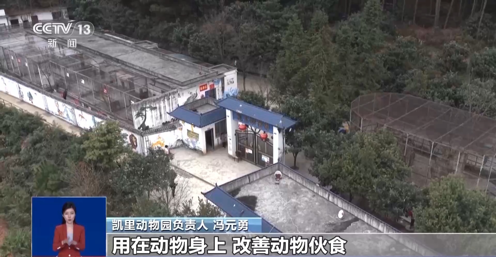 光阴的故事丨从默默无闻到圈粉无数山林角落的“袖珍动物园”成了远近闻名的打卡地(图8)