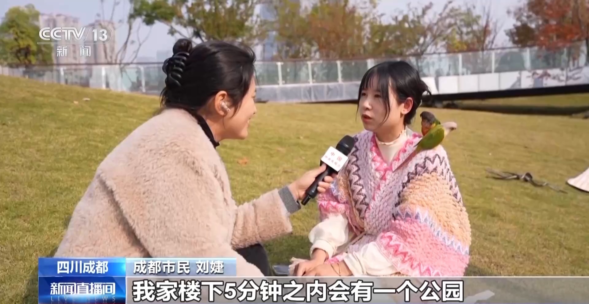 视频丨“三百米见绿，五