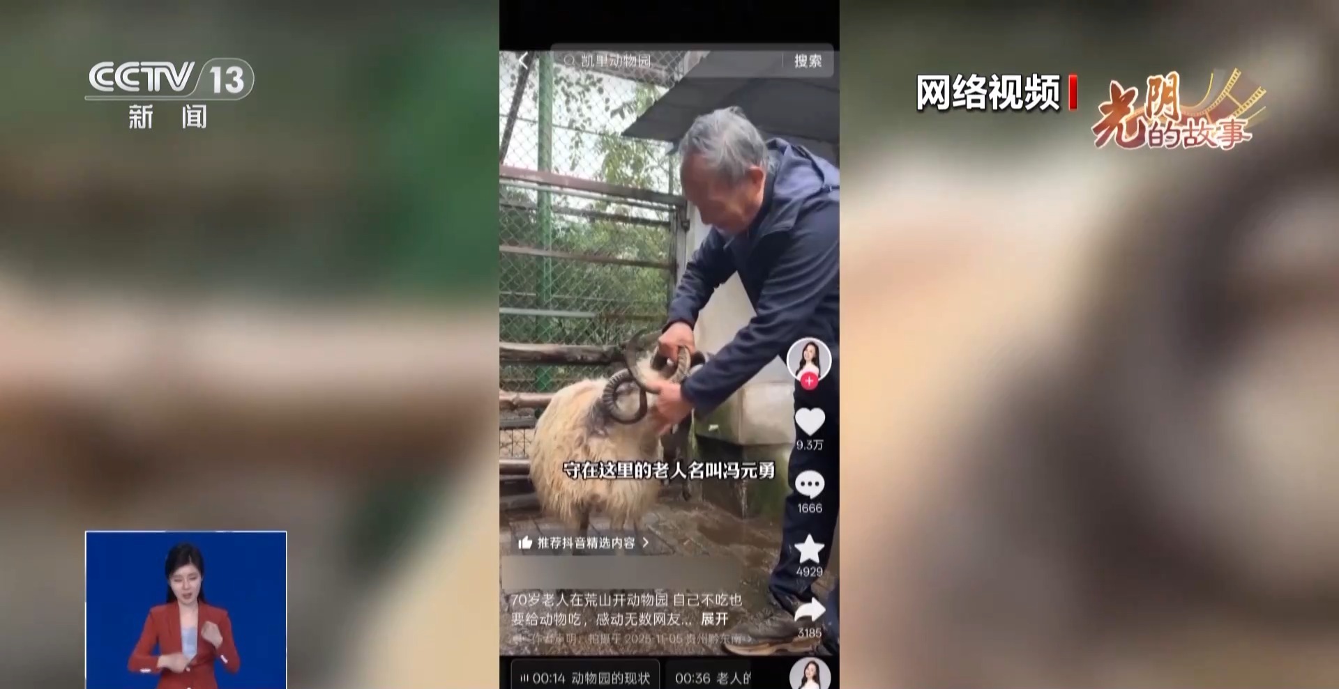 光阴的故事丨从默默无闻到圈粉无数山林角落的“袖珍动物园”成了远近闻名的打卡地(图6)