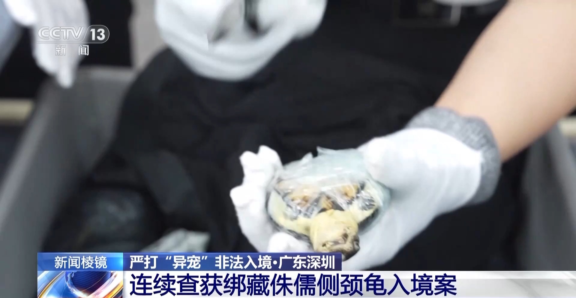 ��Ƶ | ��˽�˰��¡��ѳ�Ϊ��������в�������˱��岽��ҧ�ˣ��ȱ���֫��