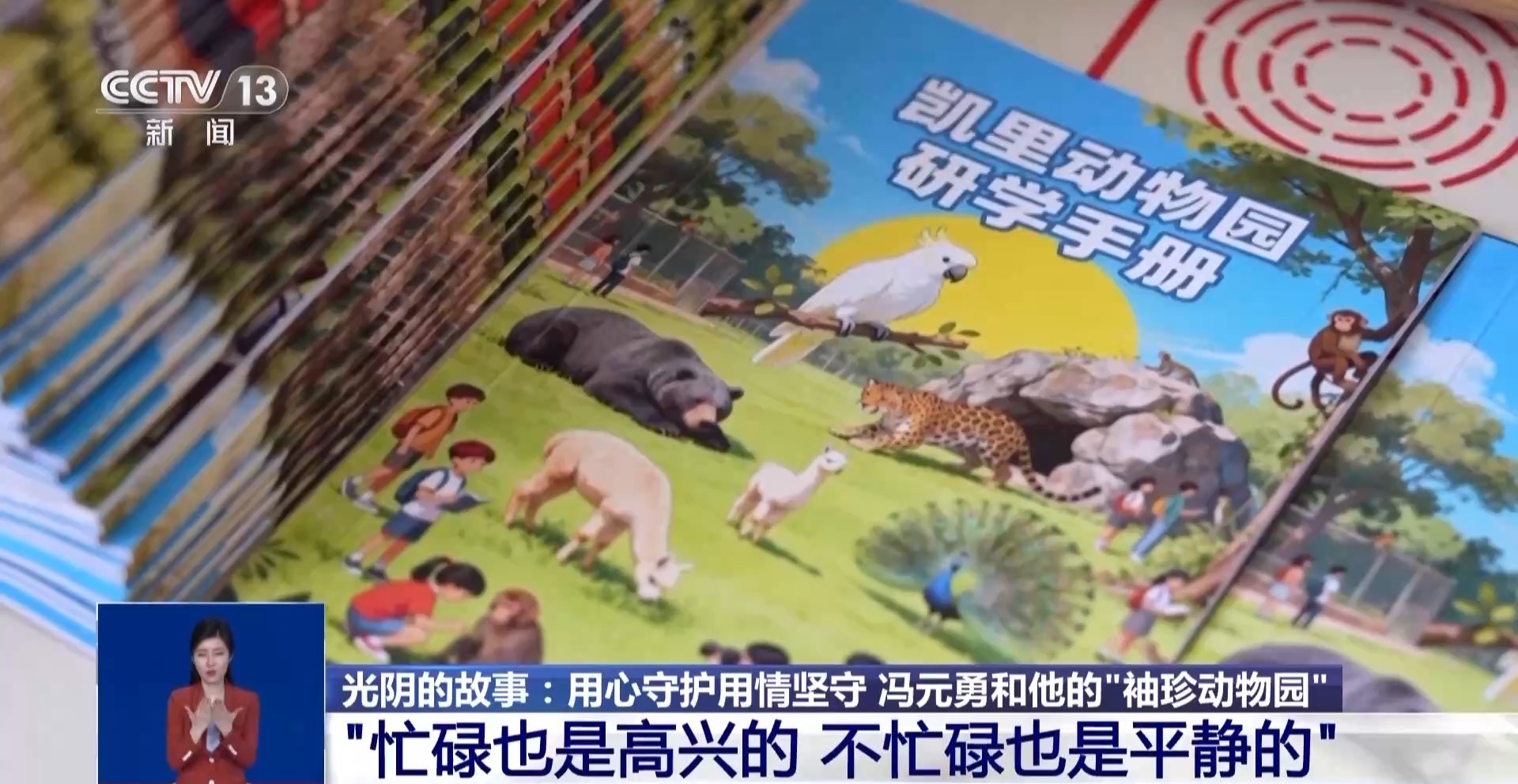 光阴的故事丨从默默无闻到圈粉无数山林角落的“袖珍动物园”成了远近闻名的打卡地(图14)