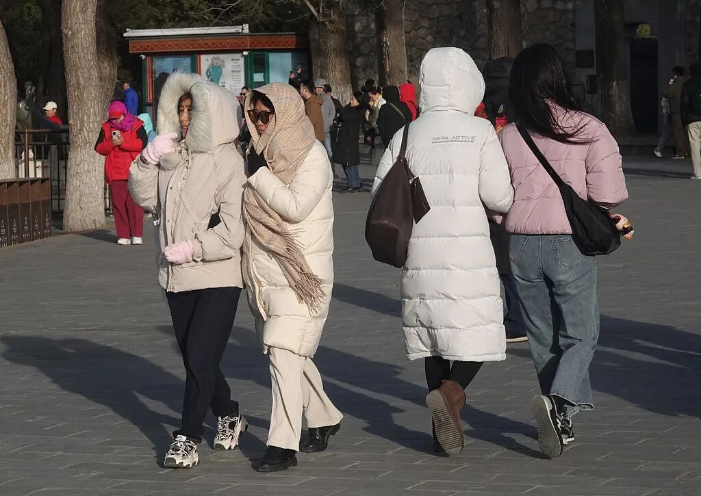 寒潮大风双预警！北方多地气温跌破冰点