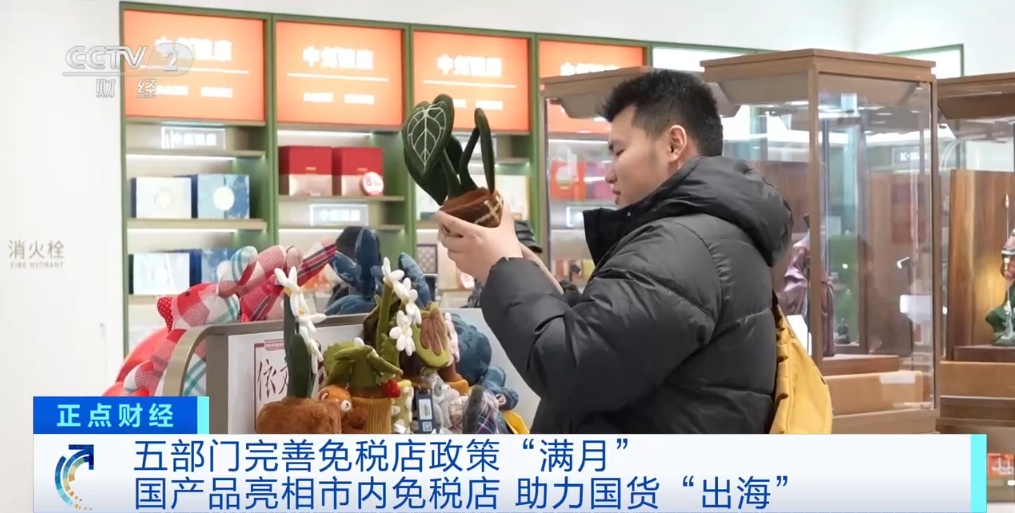 视频丨助力国货“走出去”，全市免税店设立国