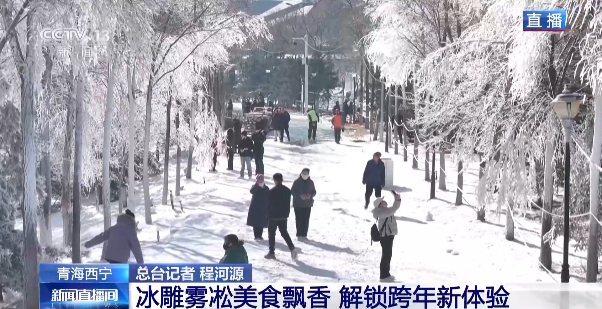 欣赏冰雕和美食，穿着唐装漫步古街，开启这个