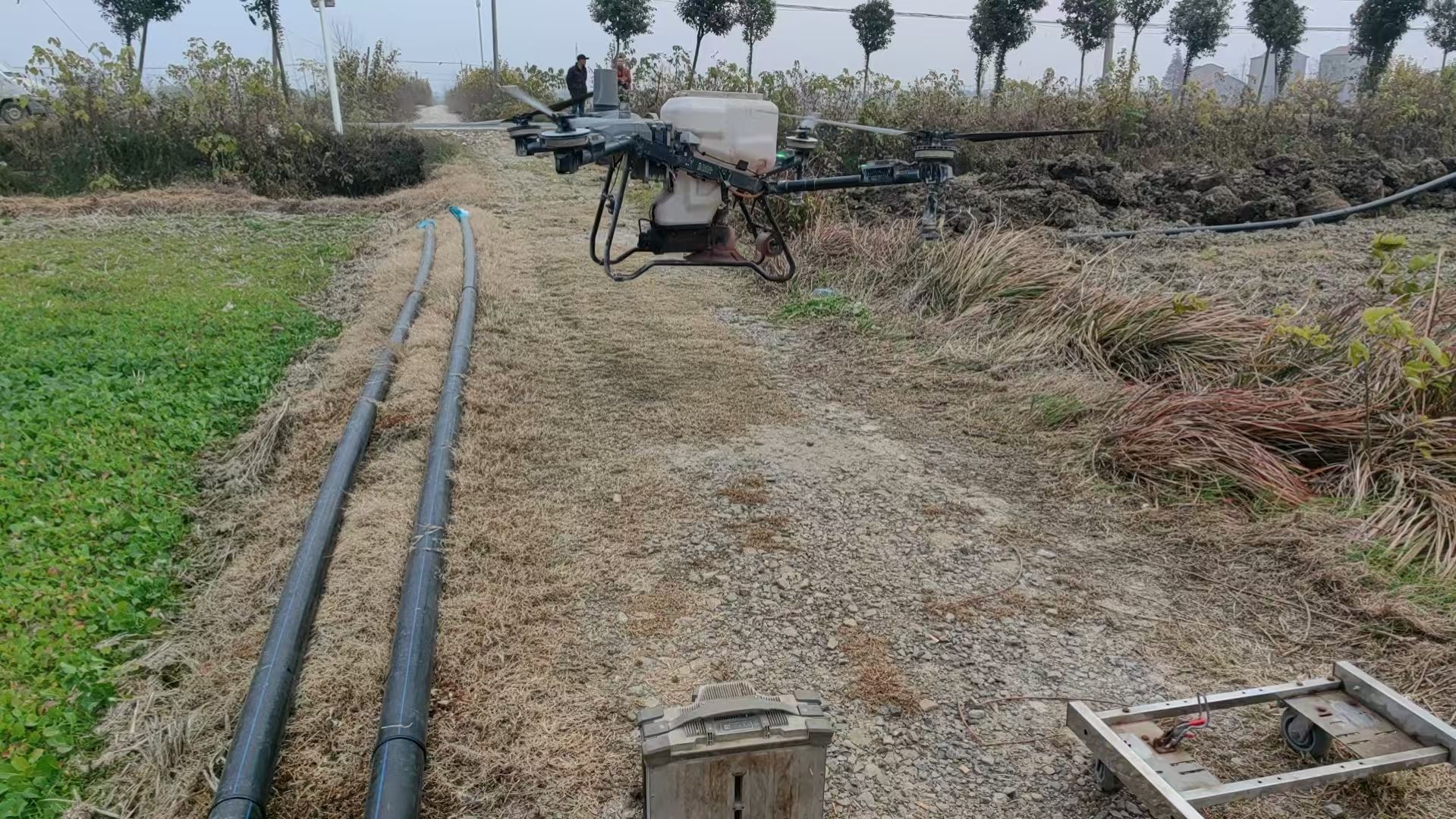 应城黄滩镇：科技赋能秋播管护 无人机助力油菜安全越冬