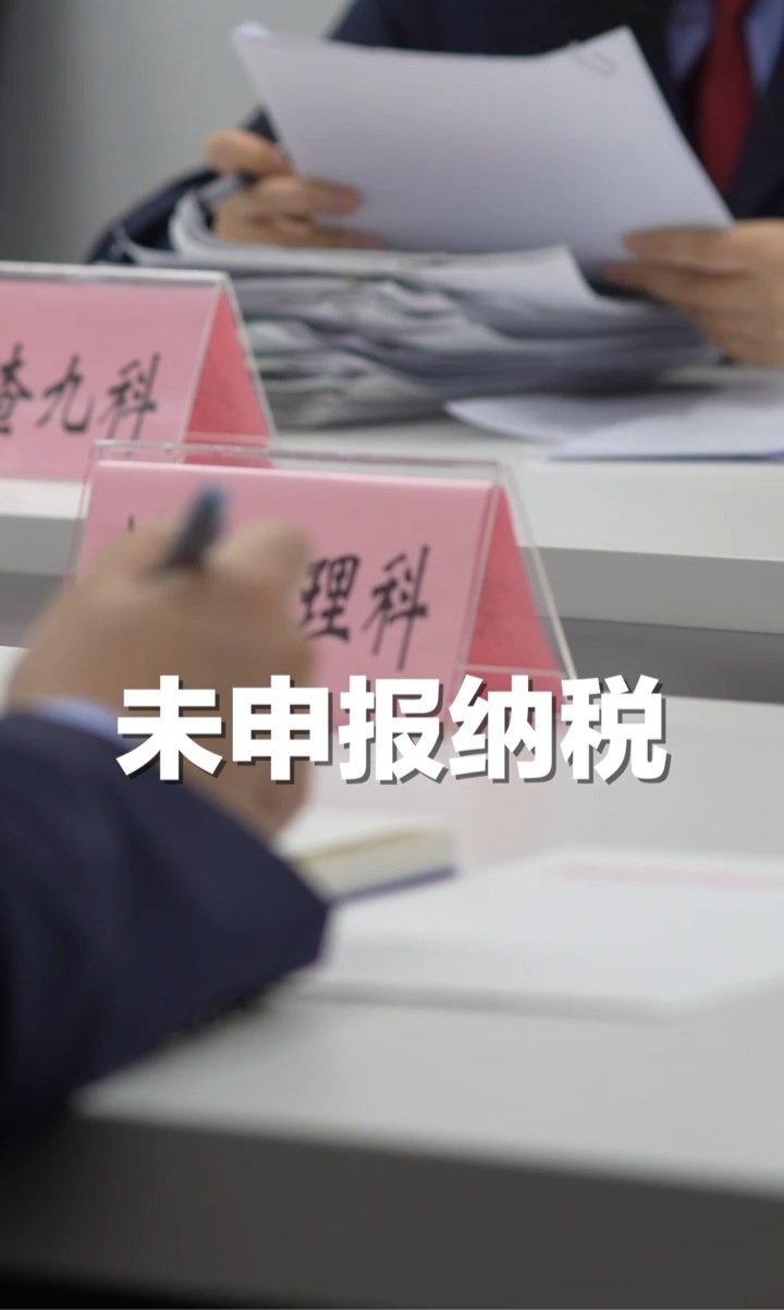 网络车评人陈震偷税被查，税务部门公布案件细节