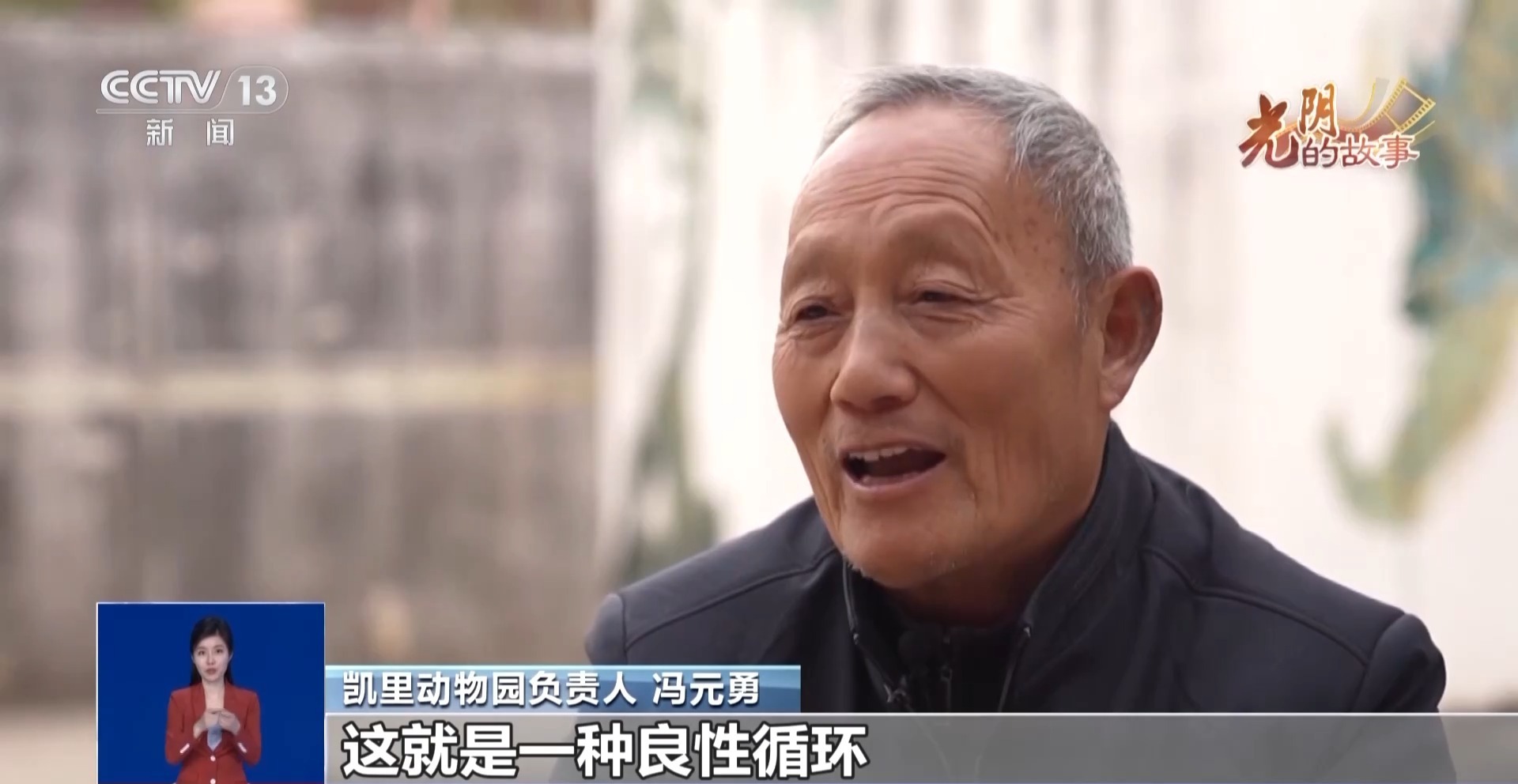 光阴的故事丨从默默无闻到圈粉无数山林角落的“袖珍动物园”成了远近闻名的打卡地(图11)