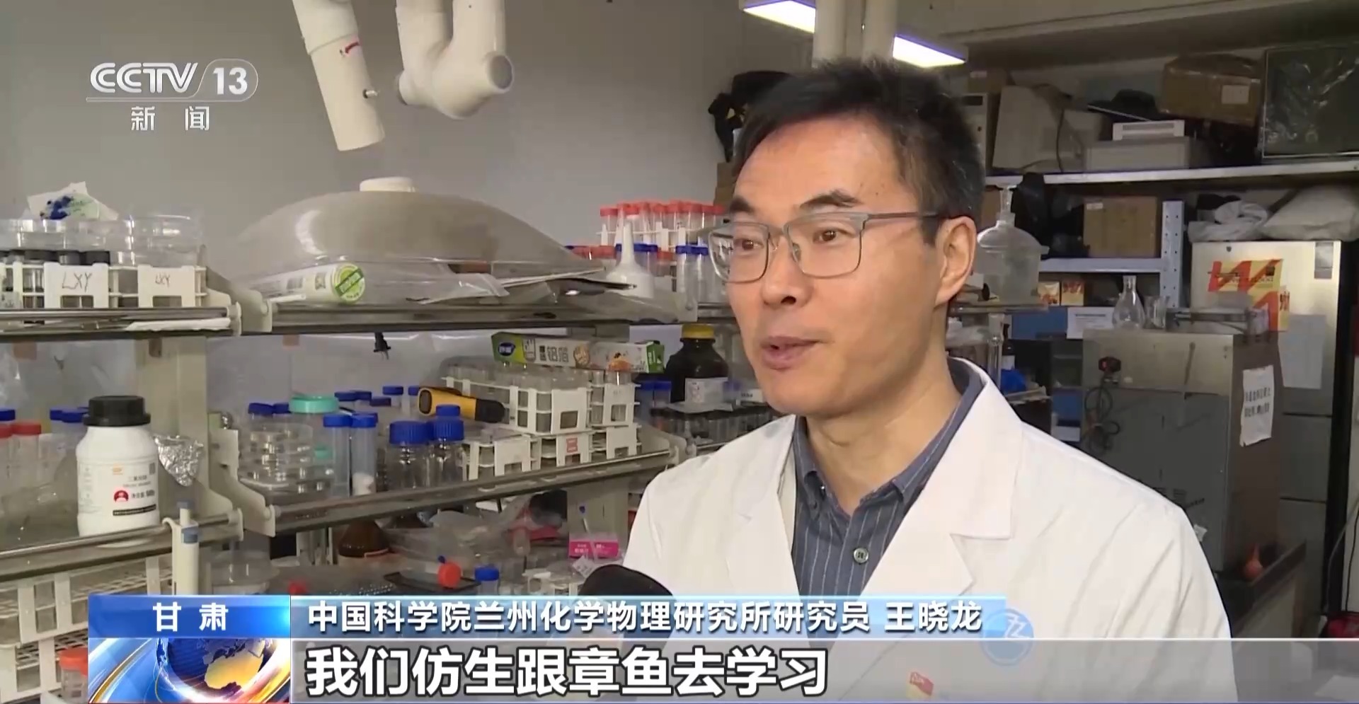 视频丨首款自适应水凝胶仿生吸盘研发成功